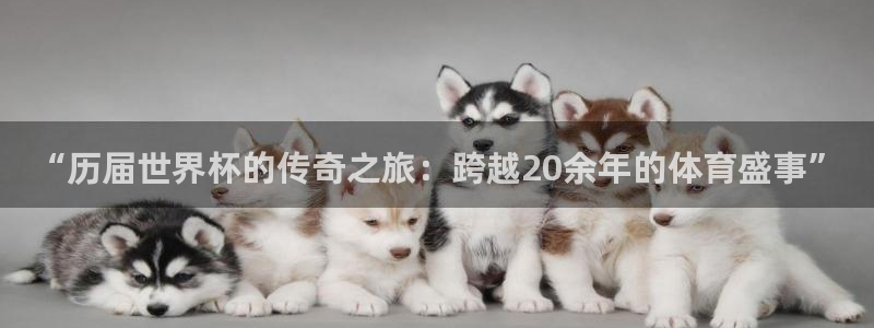 2026年世界杯直播平台:“历届世界杯的传奇之旅:跨越20余年的体育盛事”