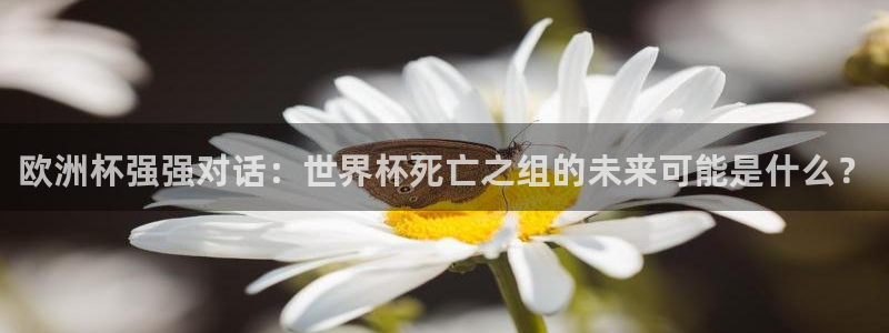 世界杯预选赛2026:欧洲杯强强对话:世界杯死亡之组的未来可能是什么?
