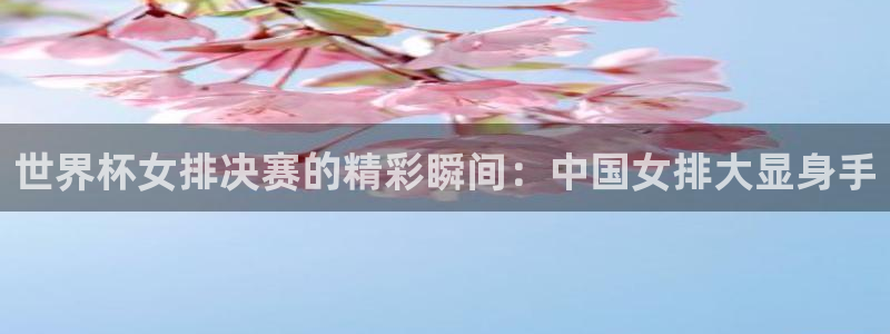 世界杯附加赛赛程表:世界杯女排决赛的精彩瞬间:中国女排大显身手