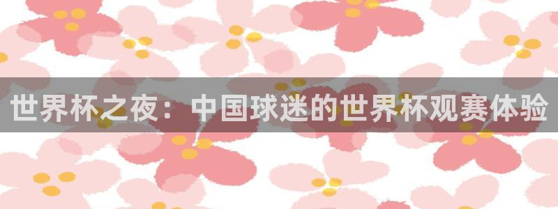 2026世界杯中国队:世界杯之夜:中国球迷的世界杯观赛体验