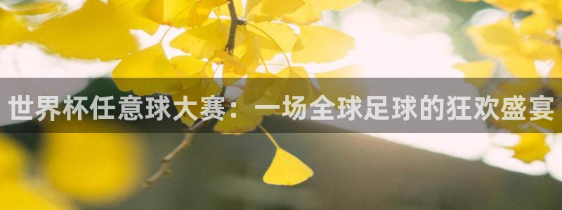 世界杯在线直播入口:世界杯任意球大赛:一场全球足球的狂欢盛宴