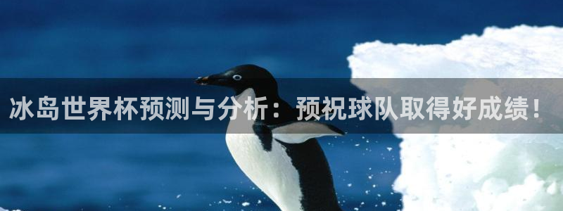 世界杯2026赛程表:冰岛世界杯预测与分析:预祝球队取得好成绩!